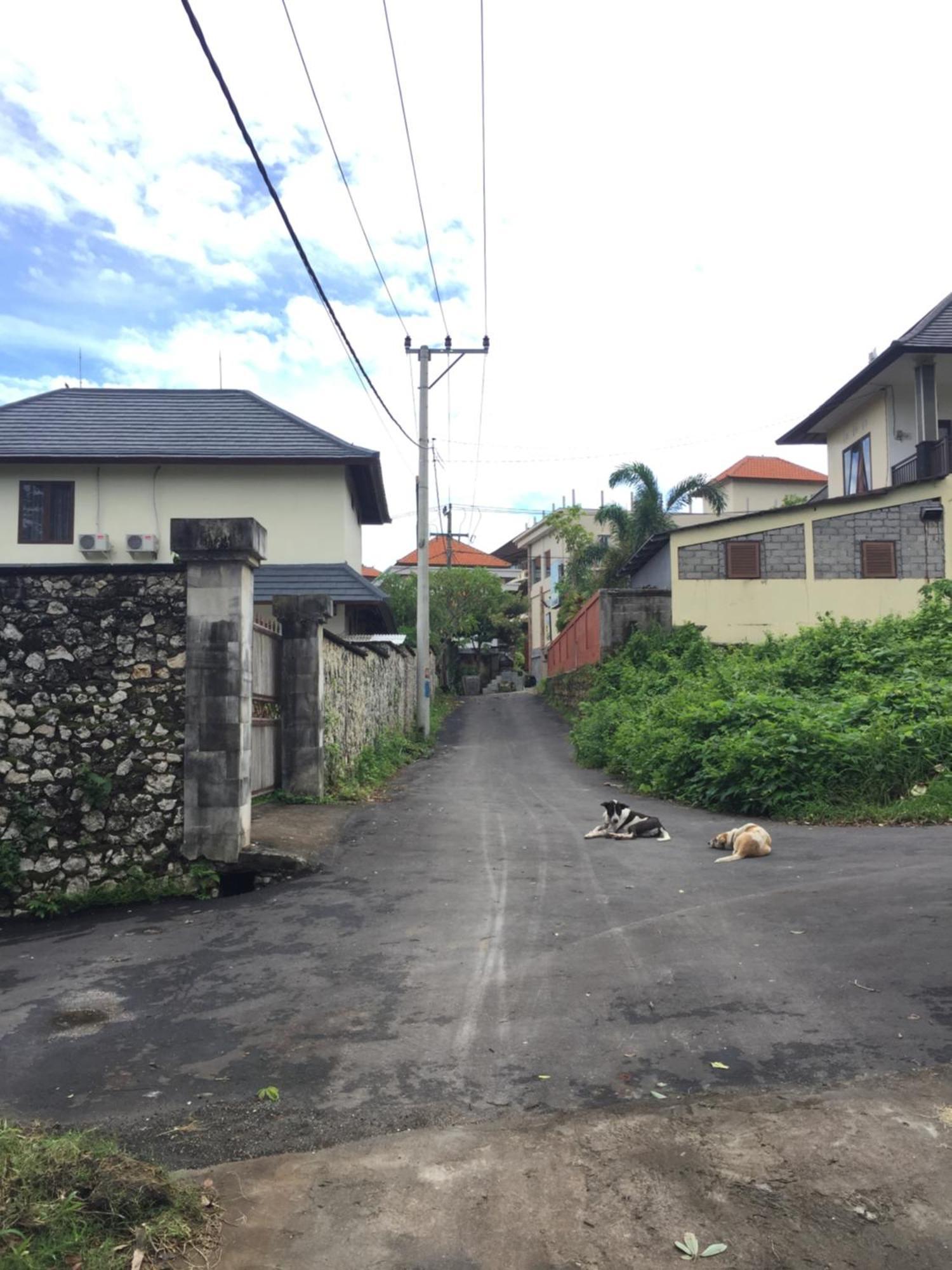 Satria Bungalow Uluwatu Dış mekan fotoğraf